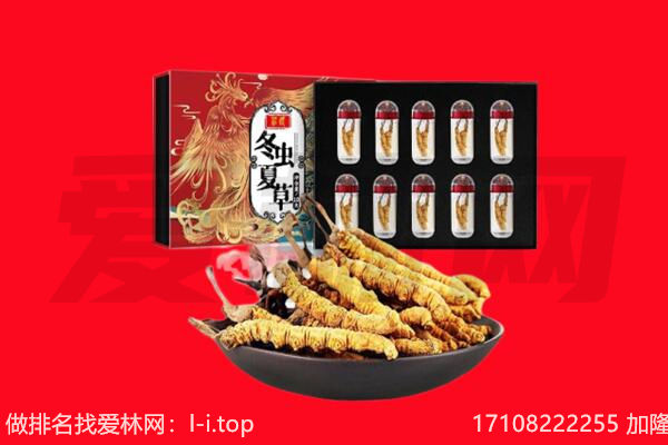 邵阳市城步回收虫草.jpg